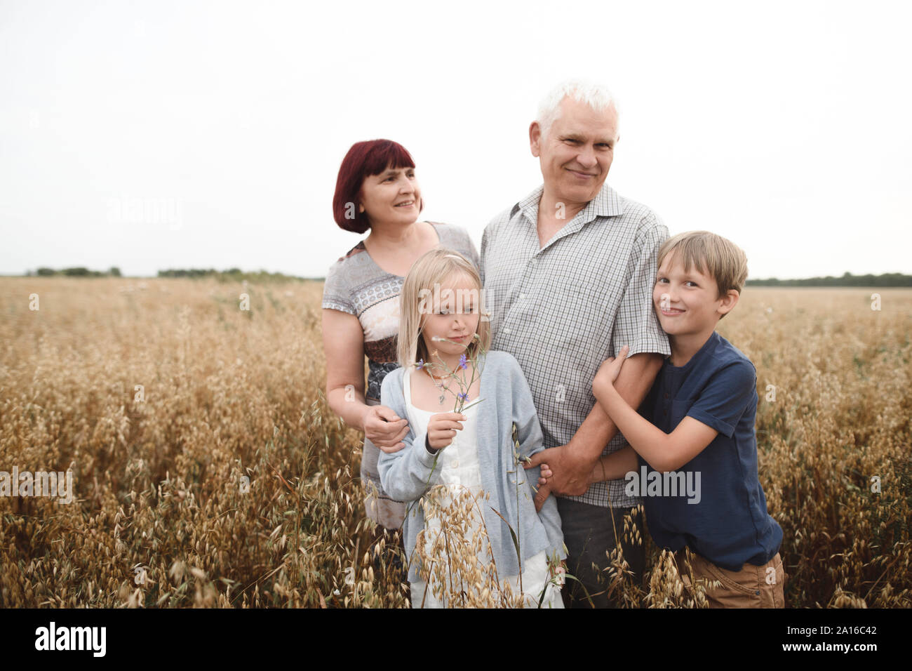 Portrait der Großeltern mit ihren Enkeln in einem oat Feld Stockfoto
