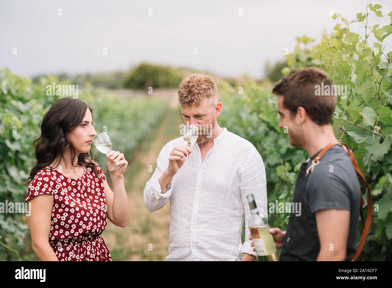 Sommelier erklären Kunden Wein im Weinberg Stockfoto