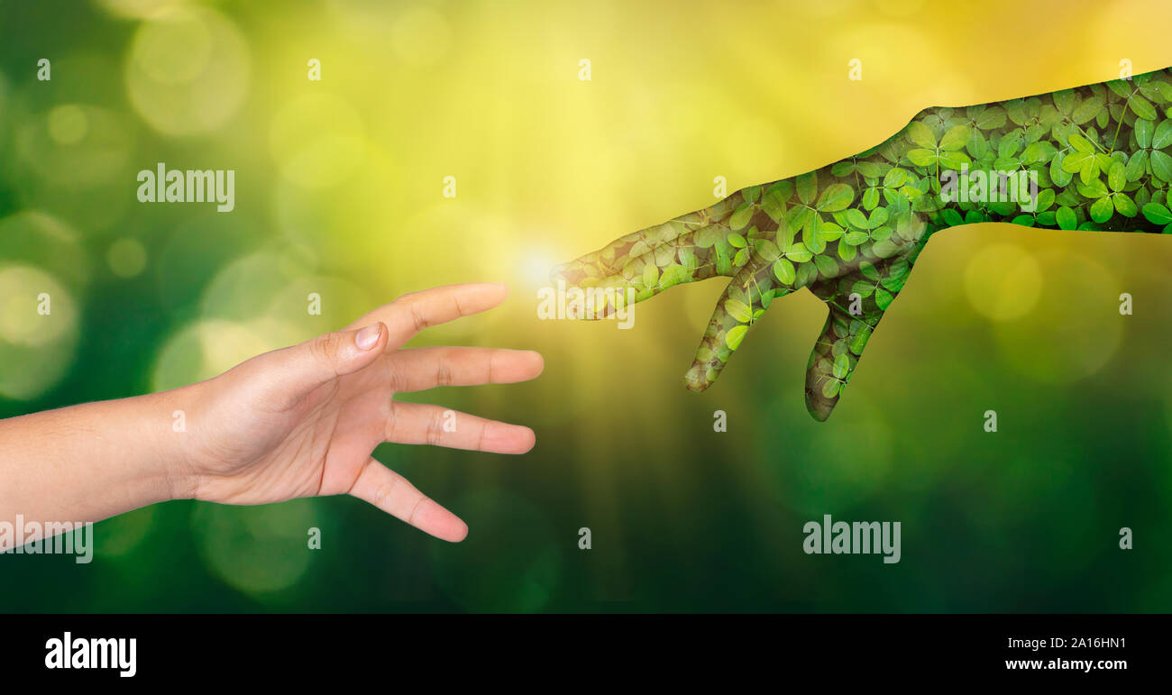 Umwelt Tag der Erde Hände aus der Natur sind den Menschen zu helfen. Nature's Konzept. Stockfoto