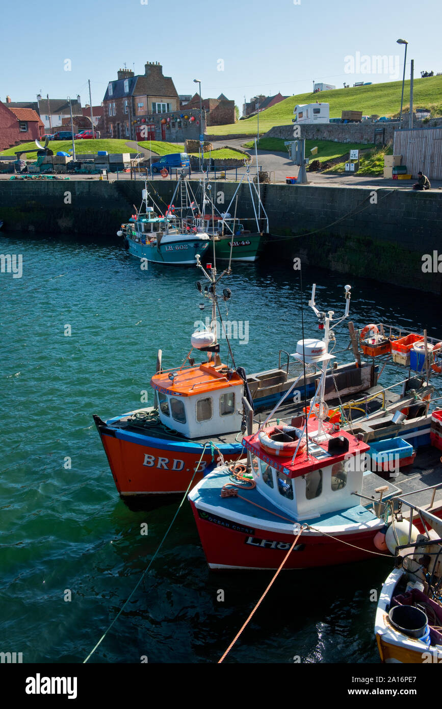 Fischerboote in den Victoria Harbour, Dunbar. Schottland Stockfoto
