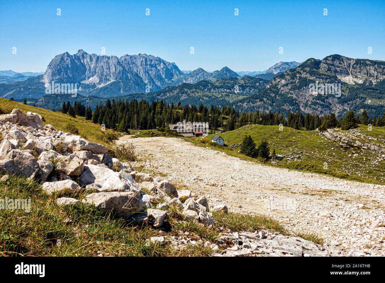 Blick auf die Gipfel des Wilden Kaisers von einer Spur auf der Steinplatte in den österreichischen Alpen in der Nähe von Kirchdorf Stockfoto