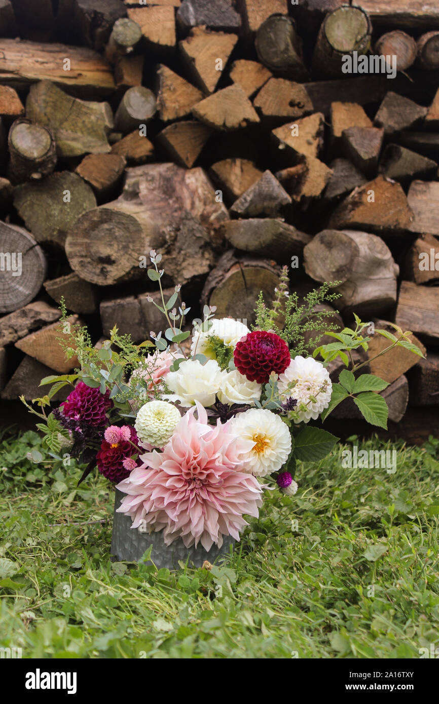 Gemischt Blumenstrauß von Dahlien, zinnien Draußen Vor Holz Stapel Stockfoto