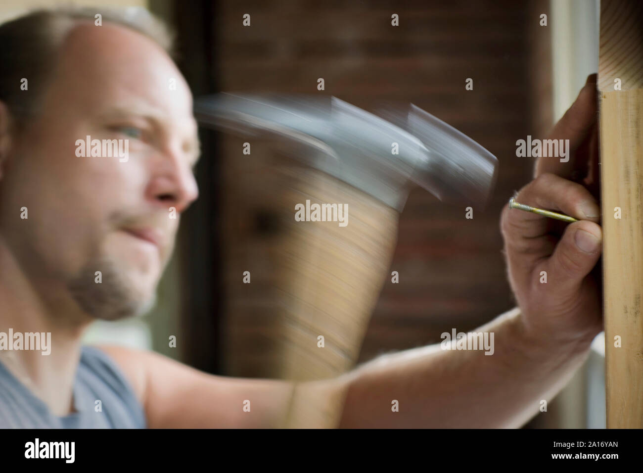 Männliche builder Hämmern einen Nagel mit dem Hammer. Stockfoto