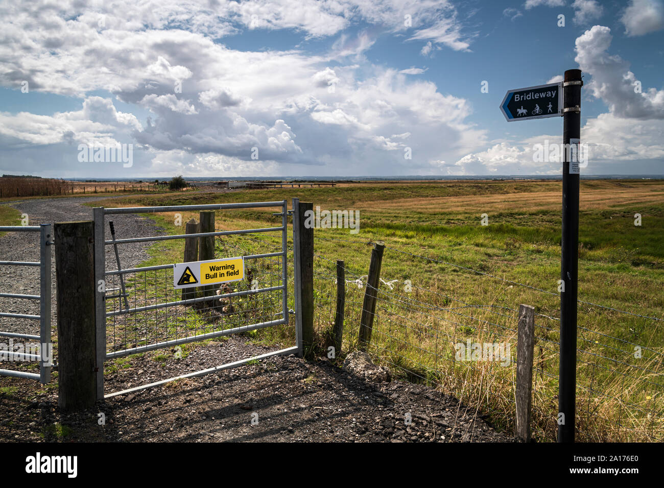 Eine Warnung Vorsicht vor dem Stier Schild an der Einfahrt zu einer öffentlichen Reitweg. Ist der Stier wirklich da? Insel Sheppy, Kent, England. 19. August 2019 Stockfoto