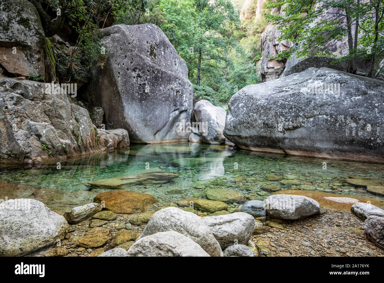 Natürlichen Pool in der berühmten Purcaraccia Canyon in Bavella im Sommer, eine touristische Destination und Anziehungspunkt für viele Aktivitäten im Freien. Korsika, Frankreich Stockfoto
