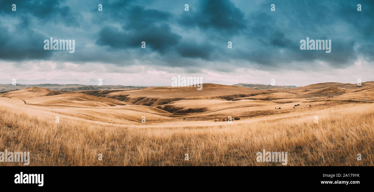 Gareja Wüste, Kachetien Region, Georgia. Herbst-Landschaft in der Nähe von Sagarejo Gemeinde Kakheti Region. Stockfoto