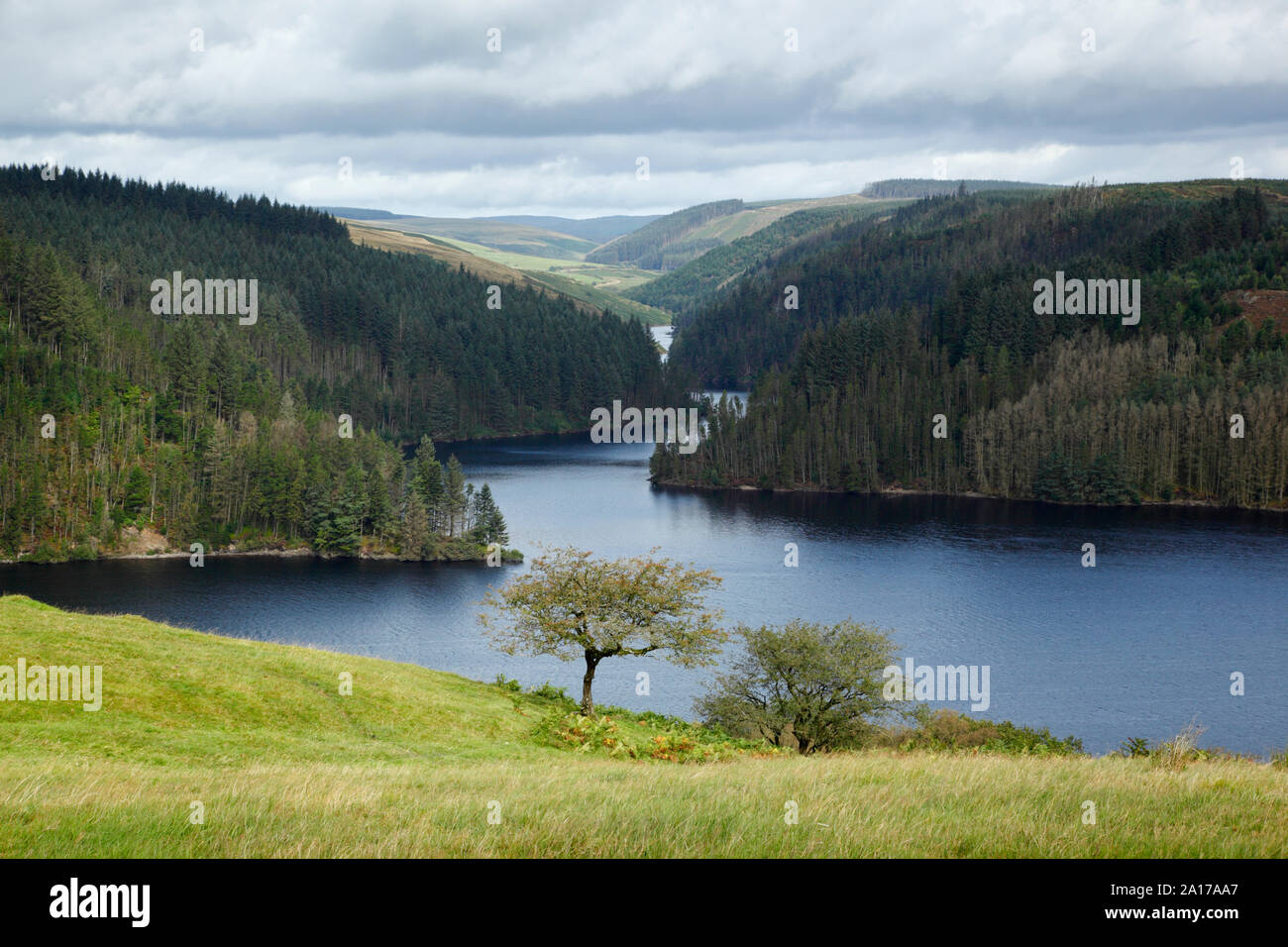 Llyn Brianne. Ceredigion. Wales. UK. Stockfoto