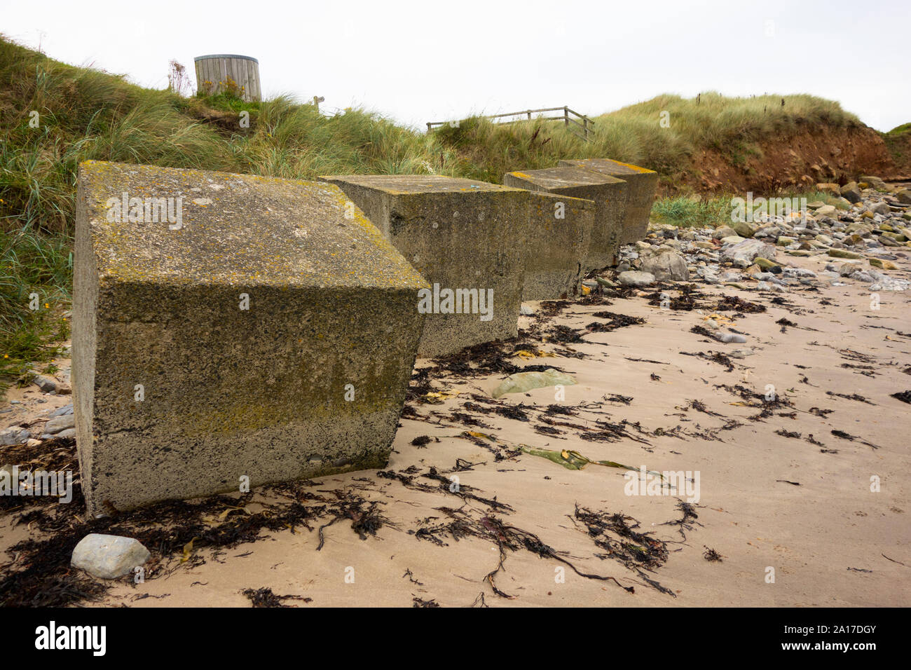 Concreate block Meer Verteidigung entlang der Küste von Northumbria UK Stockfoto