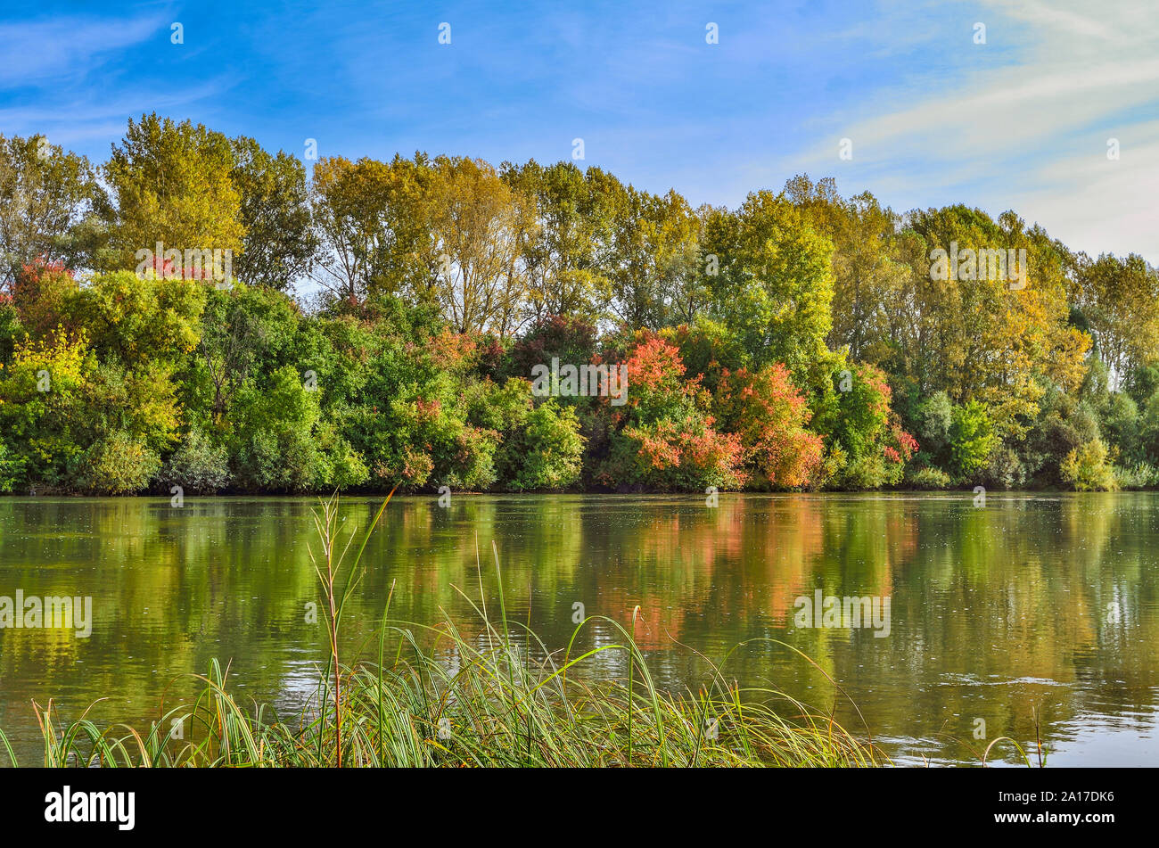 Farbenprächtige herbstlandschaft am Ufer des Flusses. Mehrfarbige helles Laub der Bäume und Sträucher des Waldes und blauer Himmel im Wasser reflektiert. Gree Stockfoto