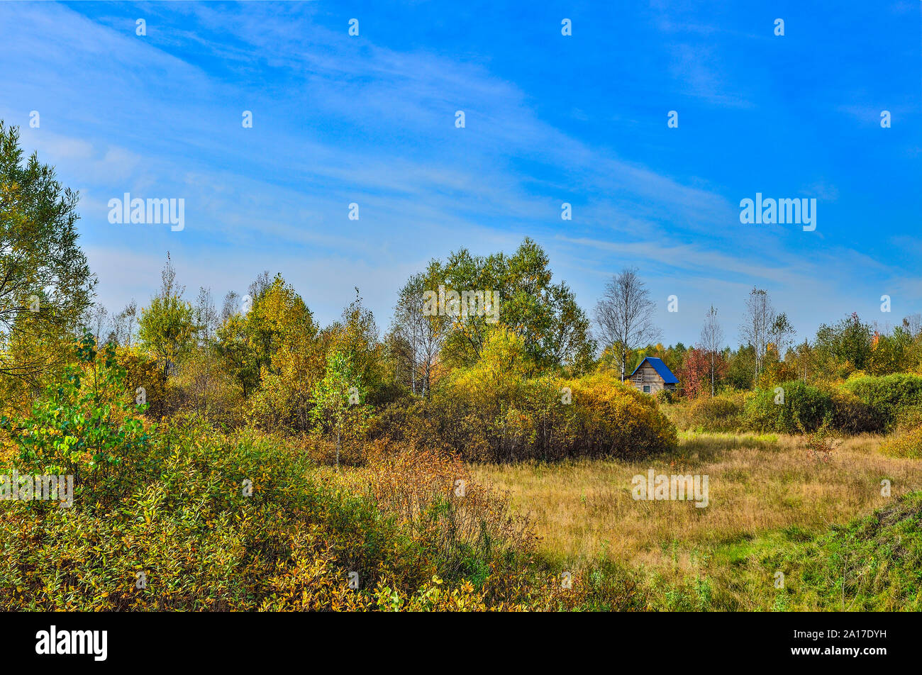Idyllische Herbst Landschaft mit hellen bunten Laub von Bäumen und Sträuchern und kleinen Holzhaus am Rande des Waldes. Warme, sonnige Wetter können Sie Stockfoto
