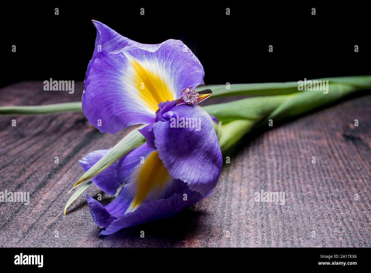 Diamond Engagement Ring auf Schnittblumen Stockfoto