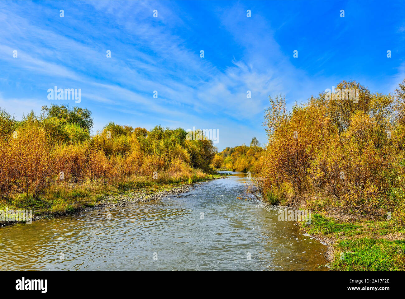 Idyllischen bunten Herbst Landschaft mit wenig schnell Wald Fluss, Streaming zwischen golden gefärbten Bäume und Sträucher. Malerischer Herbst hinterg Stockfoto