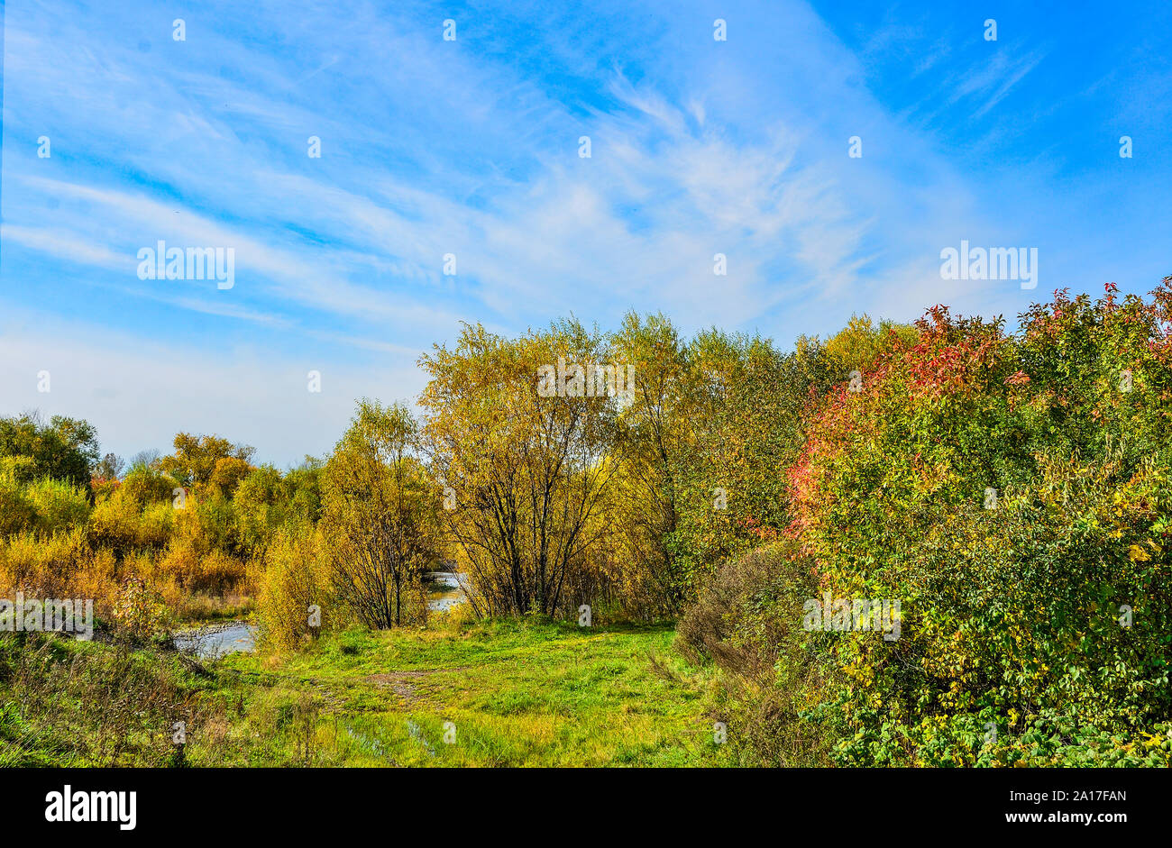 Idyllischen bunten Herbst Landschaft mit wenig Wald Fluss im Hintergrund, Streaming zwischen golden gefärbten Bäume und Sträucher. Malerische f Stockfoto