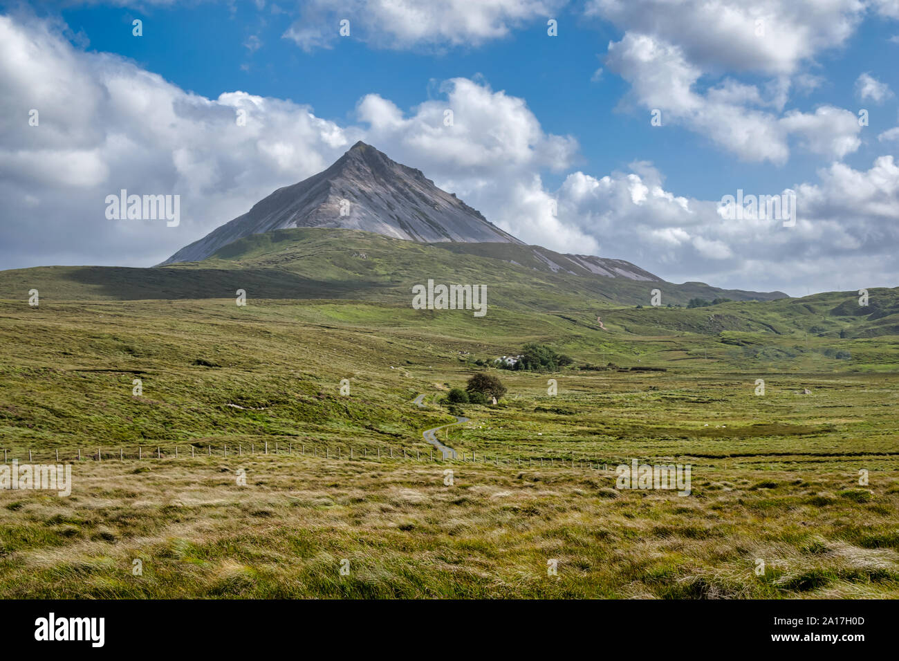 Grasland bis zu Errigal mountian im County Donegal Irland Stockfoto