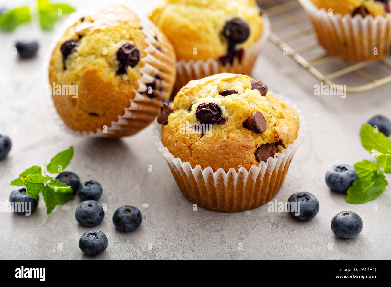 Chocolate Chip und blueberry muffins mit Milch Stockfoto