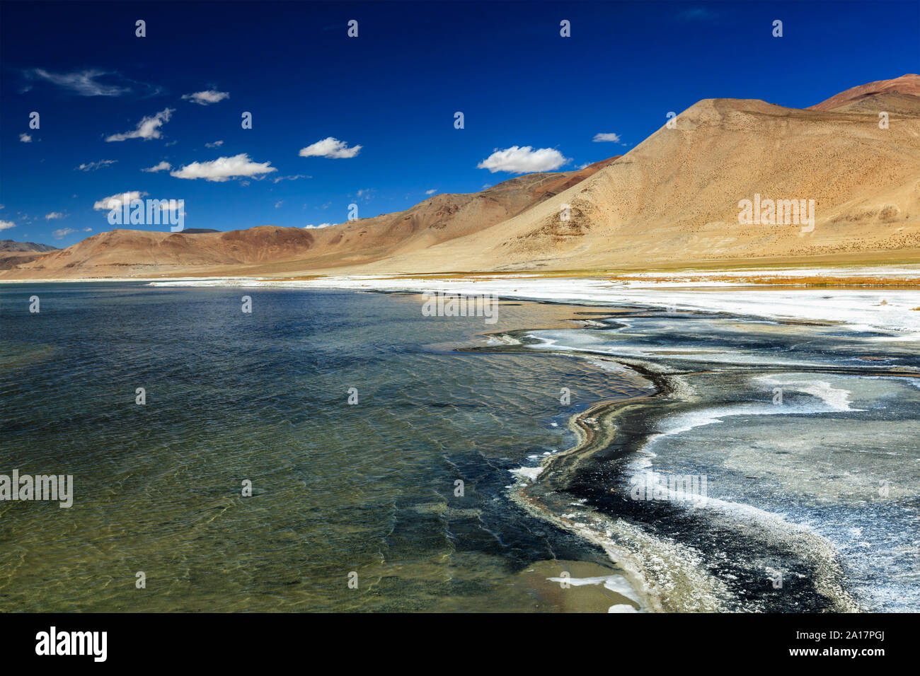 Salt Lake Tso Kar im Himalaya. Ladakh, Indien Stockfoto