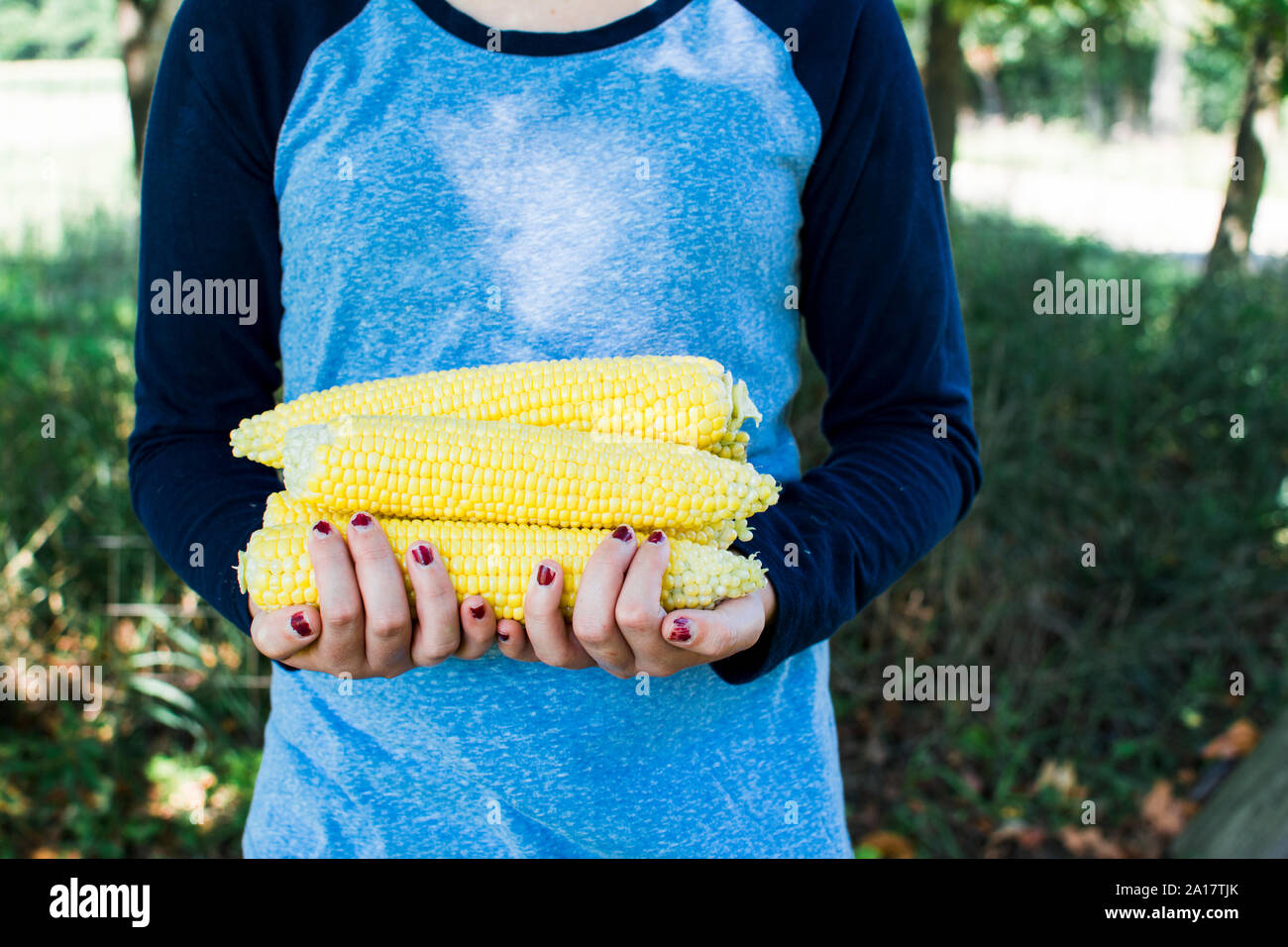 Ein junges Mädchen Hände voll von Mais Stockfoto