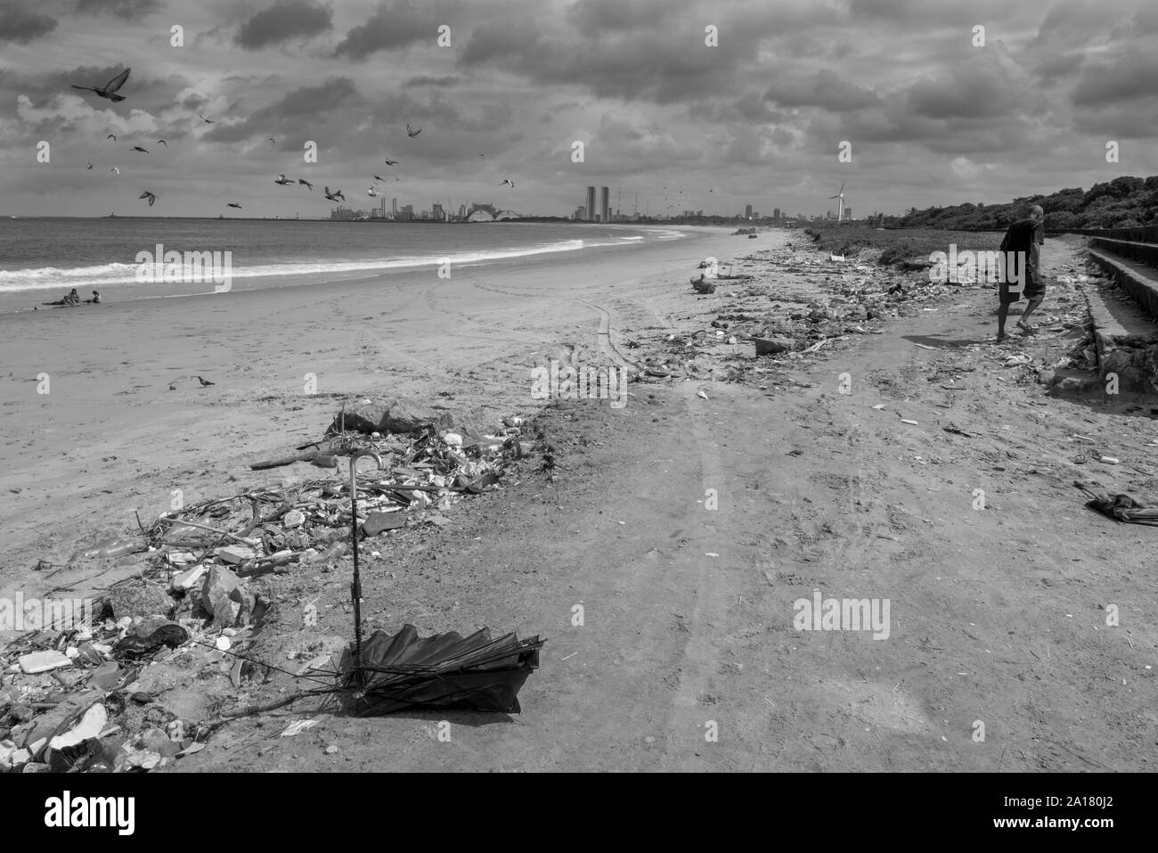 Man Walking in schmutzigen Strand, fliegende Tauben und Recife skyline Stockfoto