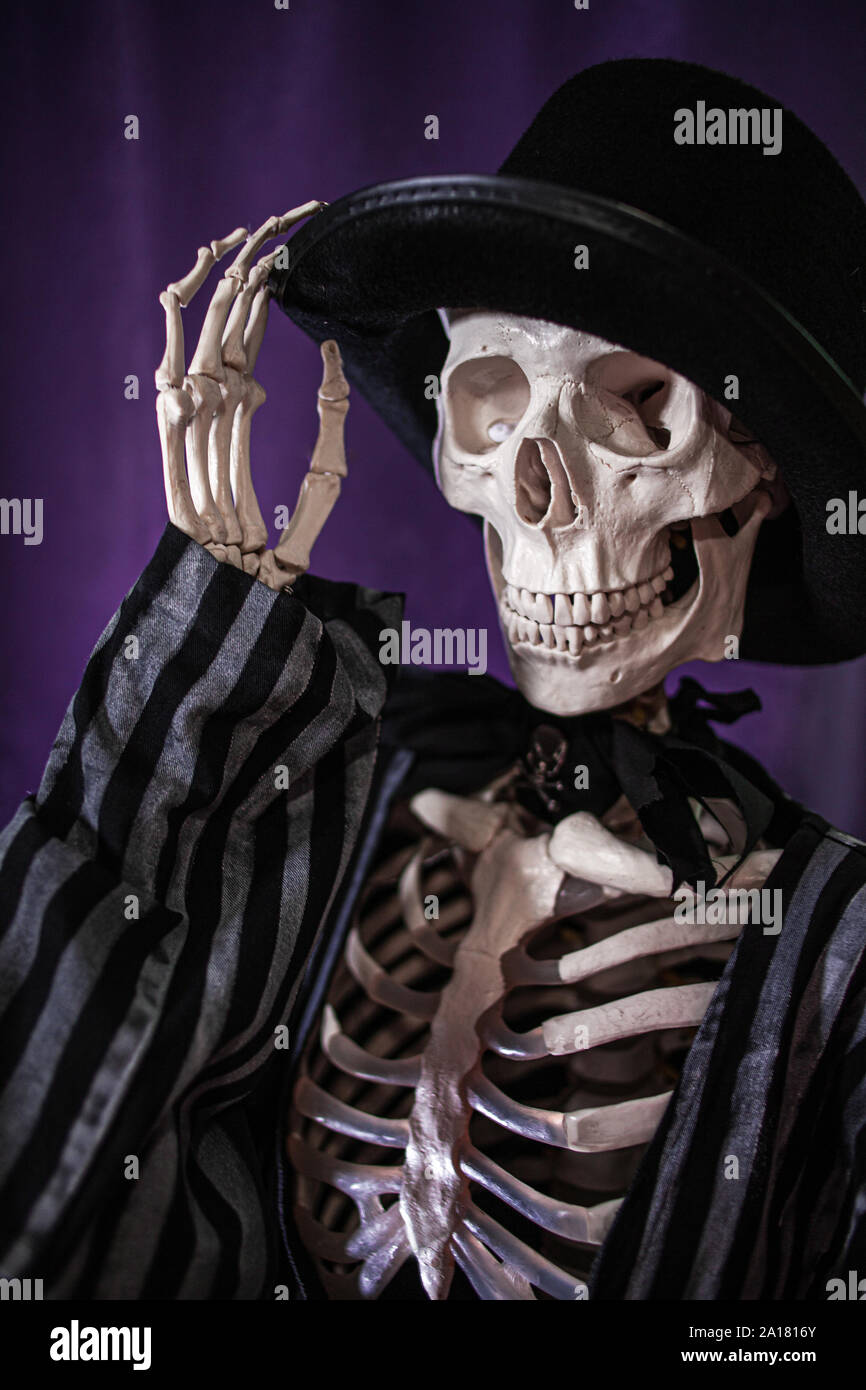 Skelett anzug -Fotos und -Bildmaterial in hoher Auflösung – Alamy