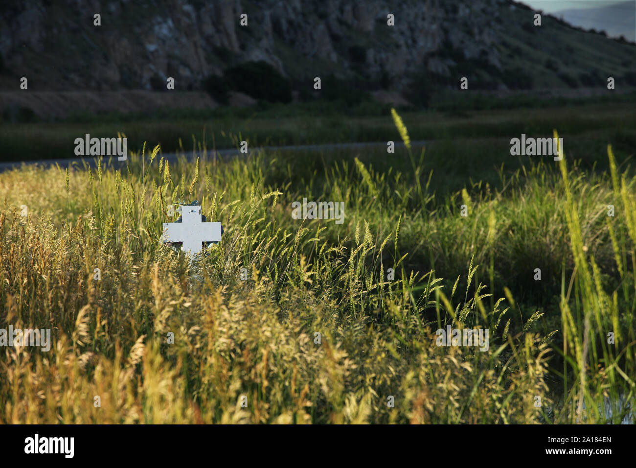 Eine weiße Kreuz ist durch das hohe Gras von einer ländlichen Straße gesehen. Stockfoto