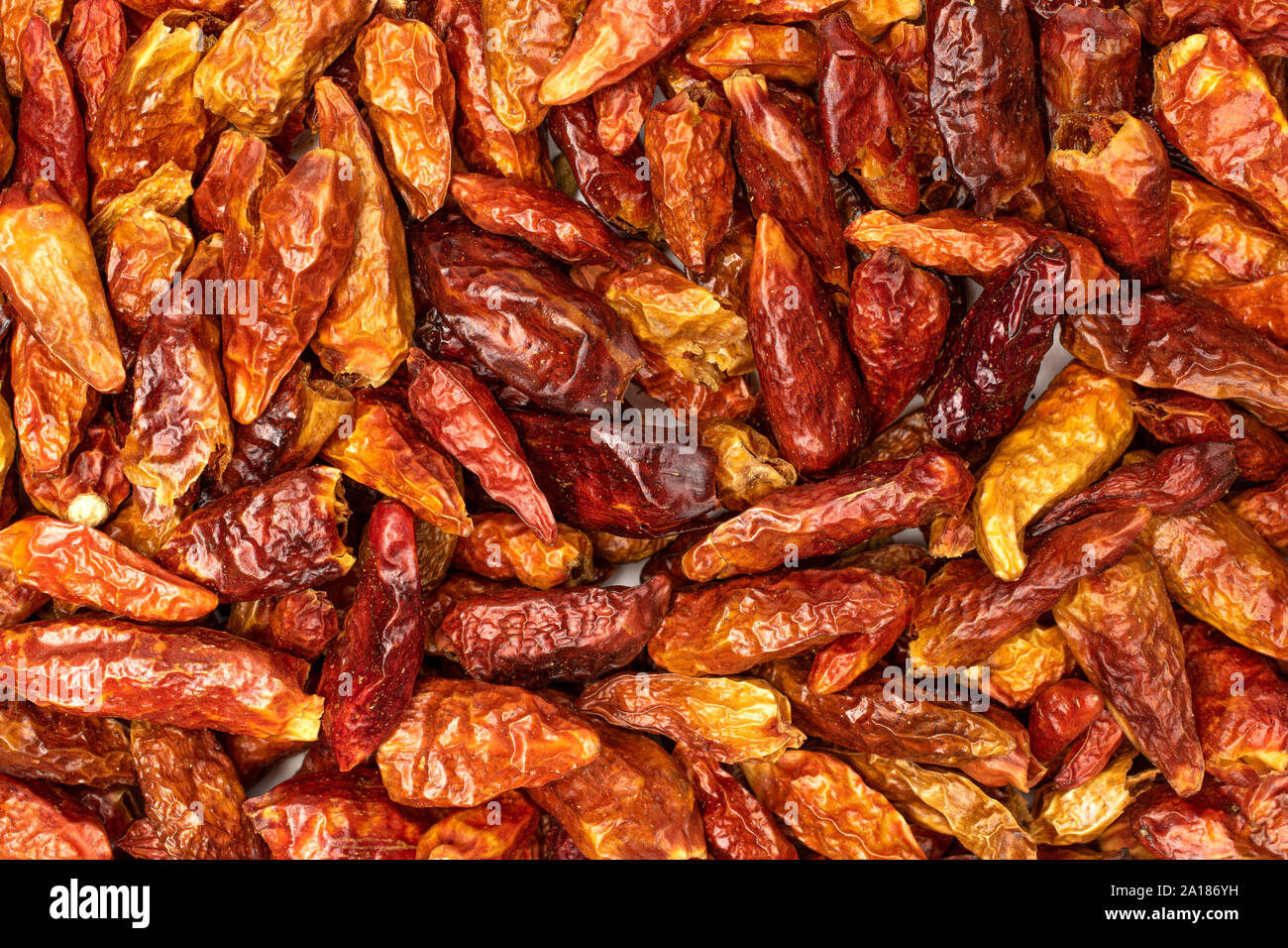 menge-ganze-trockene-rote-chili-peperoncino-makro-flatlay-isoliert-2a186yh.jpg
