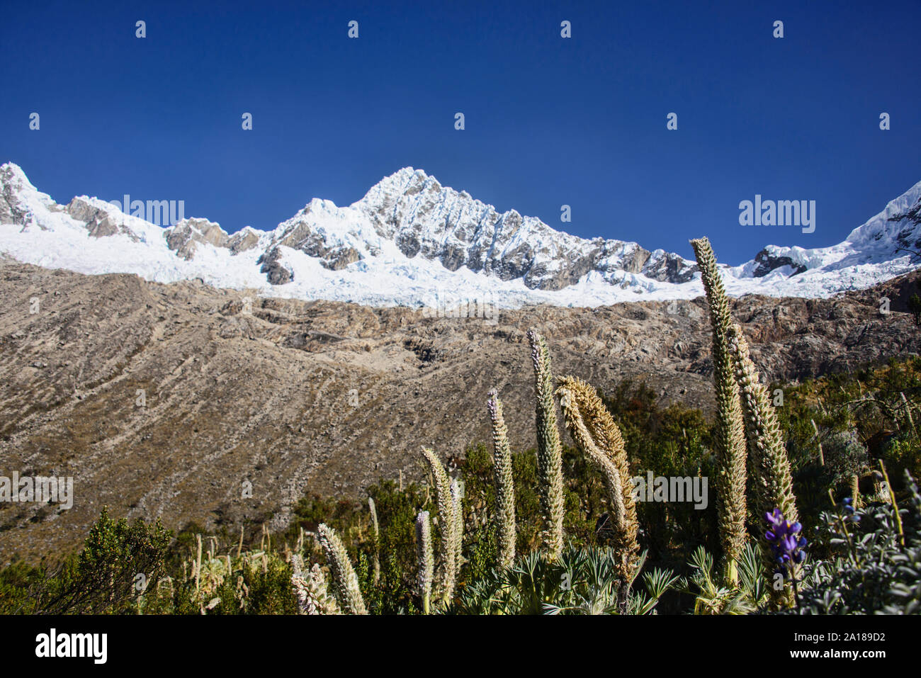 Alpamayo und Quitaraju steigen über Basecamp, Cordillera Blanca, Ancash, Peru Stockfoto