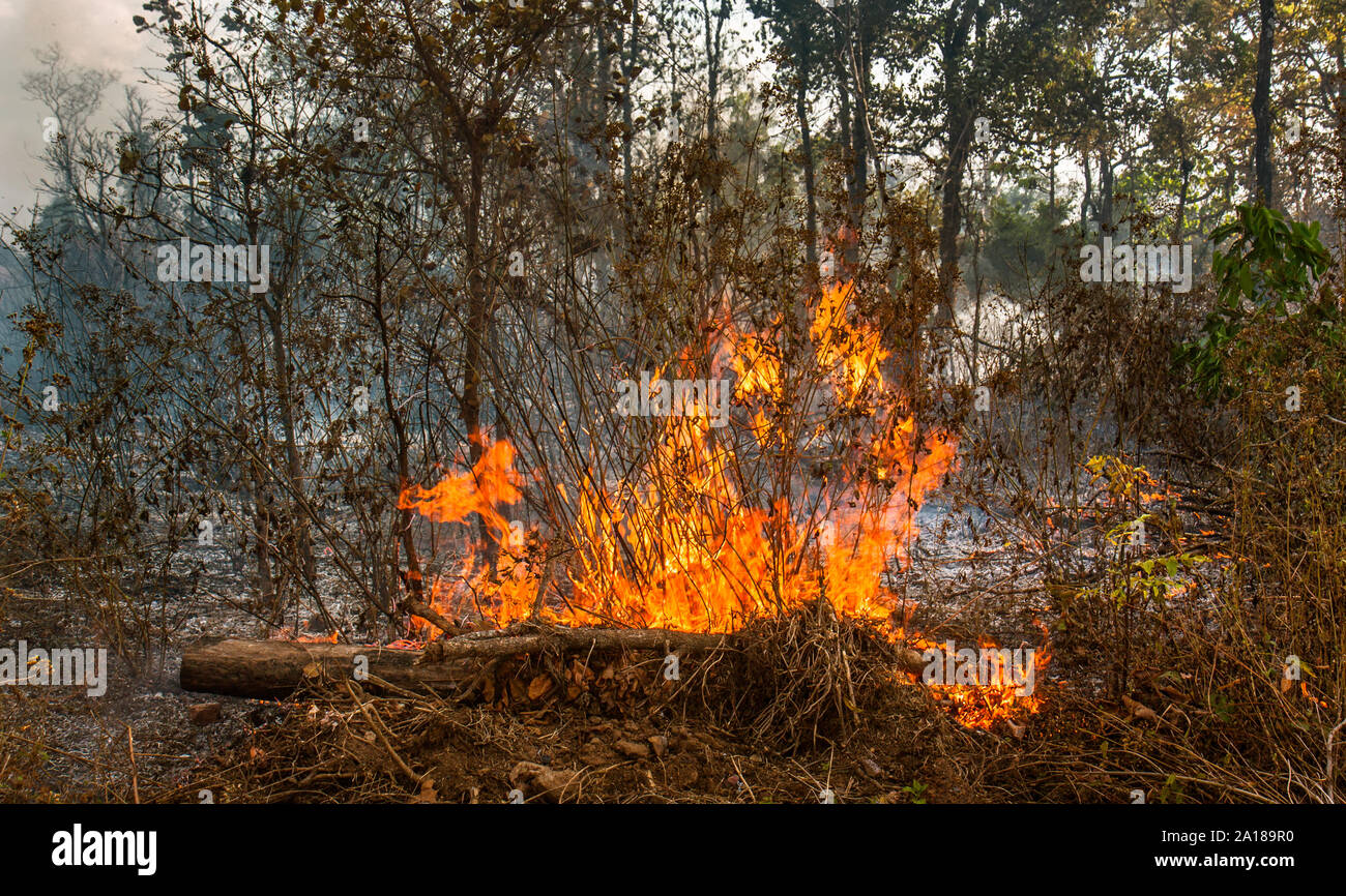 Bürste Feuer von lokalen Slash und landwirtschaftlichen Praktiken zu brennen. Der Provinz Champasak, Lao PDR Stockfoto