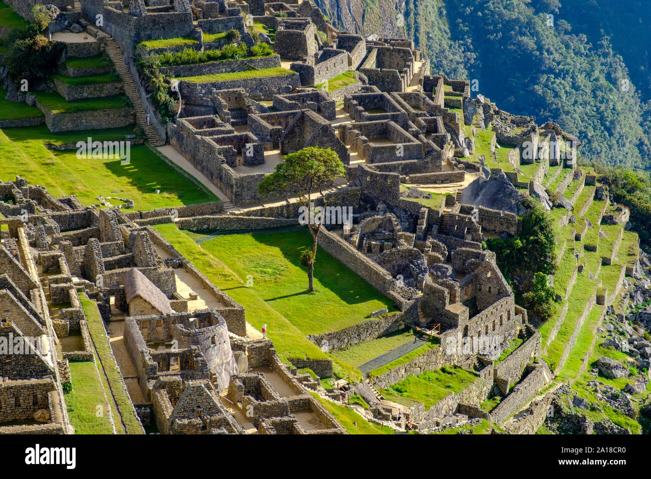 Machu Picchu Sonnenaufgang, Heiliges Tal der Inkas, Peru. Ein einsamer Tourist, der die Gärten und Terrassen, Machu Pichu Ruinen, am frühen Morgen bewundern kann. Stockfoto