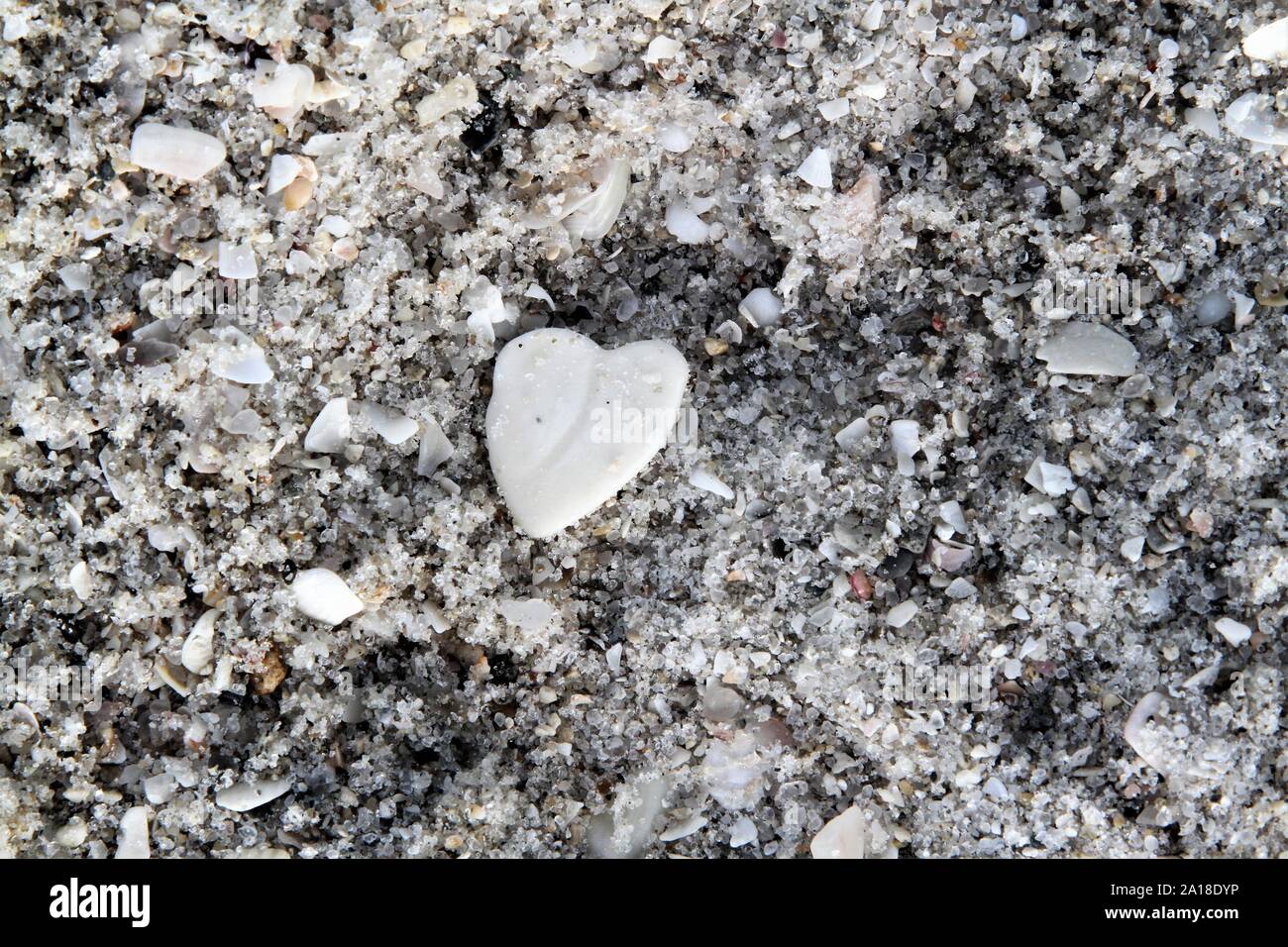Weißer Stein am Strand mit zerquetschten Schalen Stockfoto