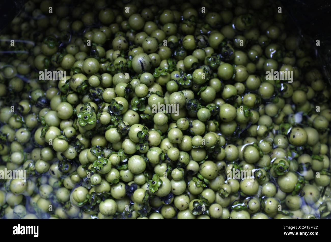 Frische Diospyros mollis Früchte Hintergrund, Thai Kräuter- und natürliche Farbstoffe für Gewebe Stockfoto