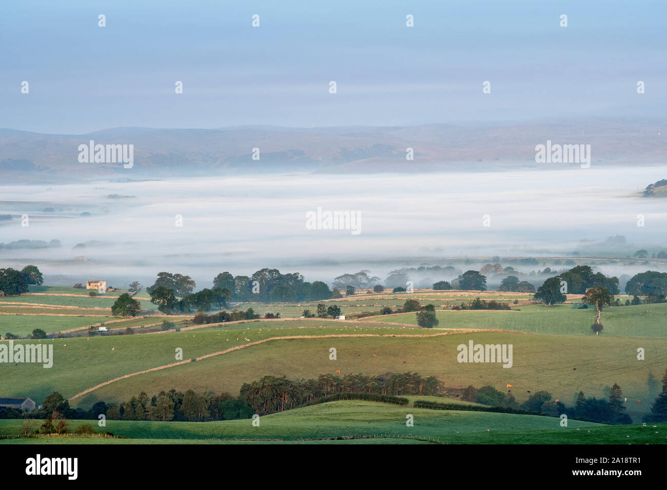 Am frühen Morgen Nebel im Tal unten in der Nähe von ravenstonedale im oberen Lune Valley, Anfang Herbst. Cumbria, Großbritannien. Stockfoto