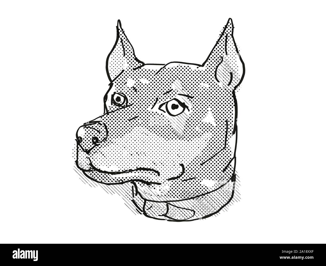 Retro Cartoon Stil zeichnen der Leiter der Deutsche Pinscher, ein Hund oder Hund Rasse auf isolierten weißen Hintergrund in Schwarz und Weiß. Stockfoto