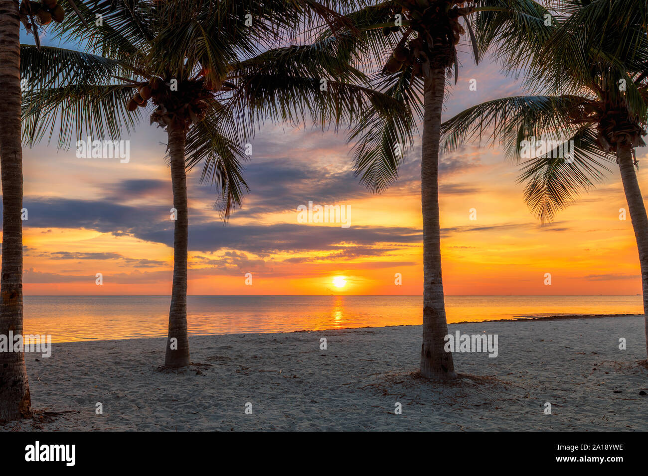 Sonnenaufgang im Palm Beach Stockfoto