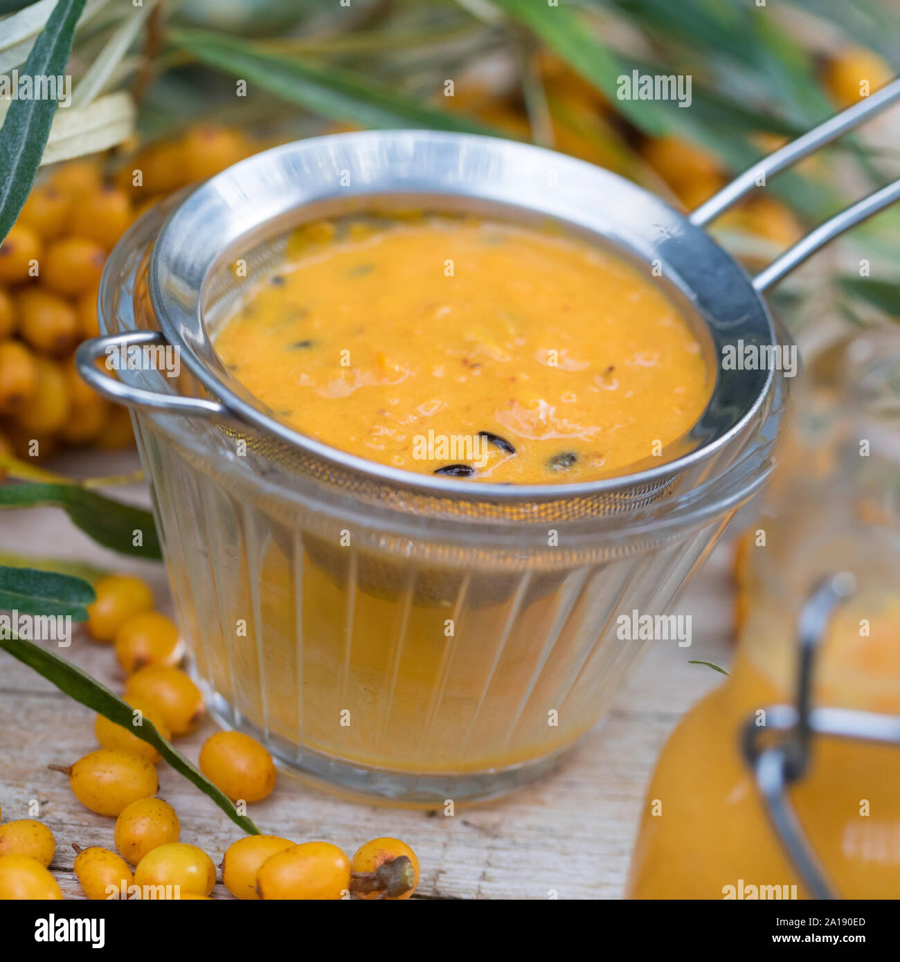 Sanddorn-Saft, Sanddornsaft, Saft aus Sanddornbeeren, Kerne, Früchte werden mit einem Sieb abgesiebt, Beeren, Früchte, Sanddorn, Sand-Dorn, Küsten - Stockfoto