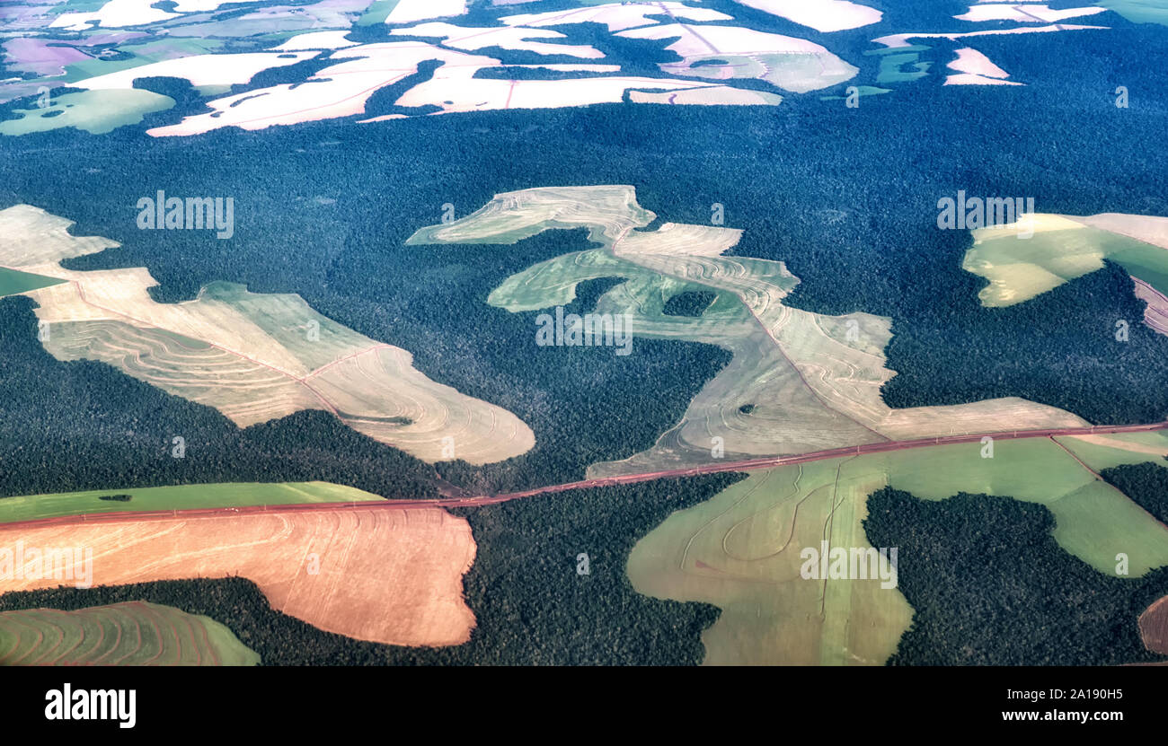 Ackerland in der Nähe von Mercedes, Provinz Entre Rios, Argentinien, Südamerika Stockfoto