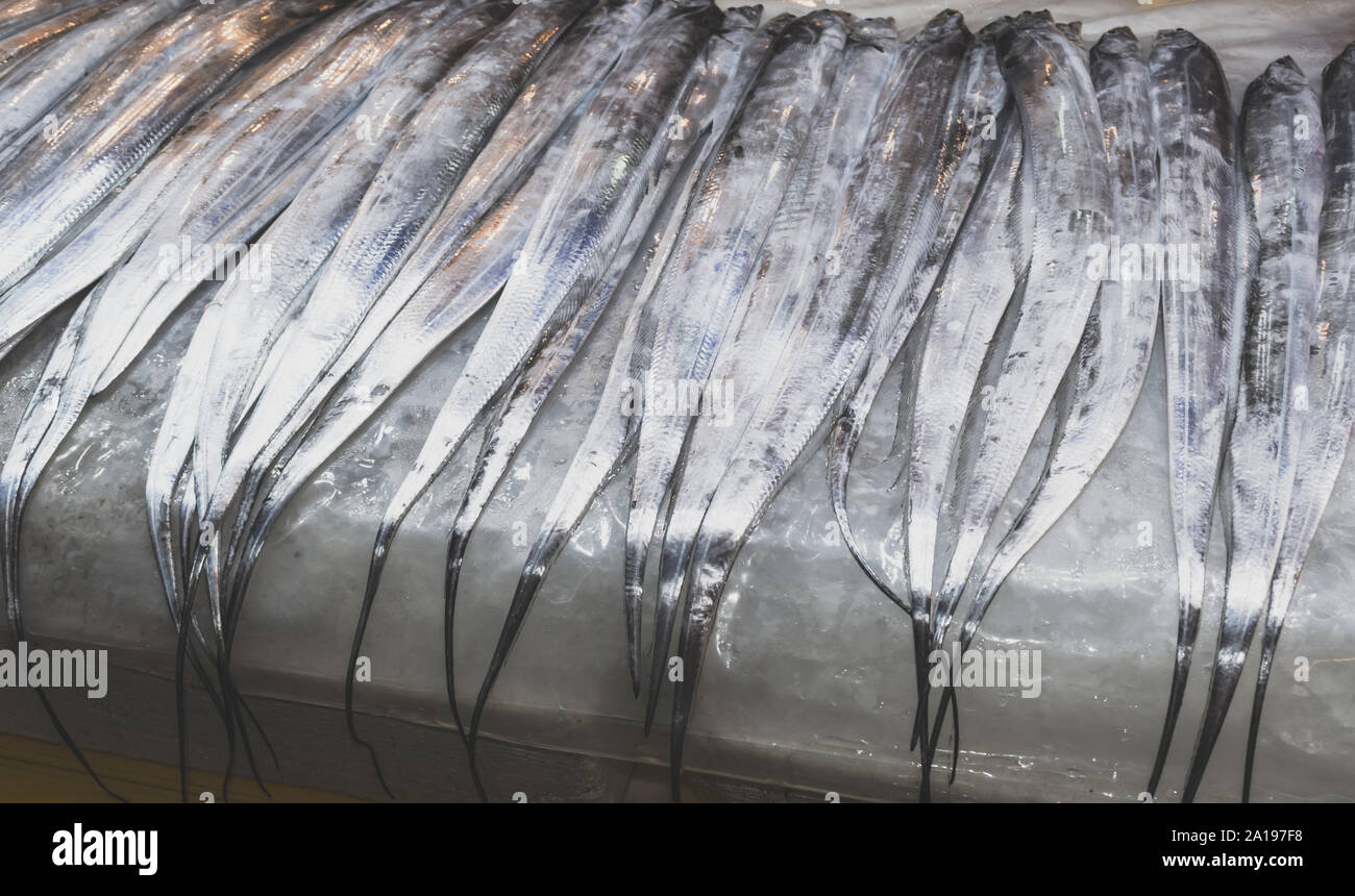 Lolcal Delikatesse - hairtail Fisch auf Anzeige zum Verkauf an der Jeju Dongmun Markt Stockfoto