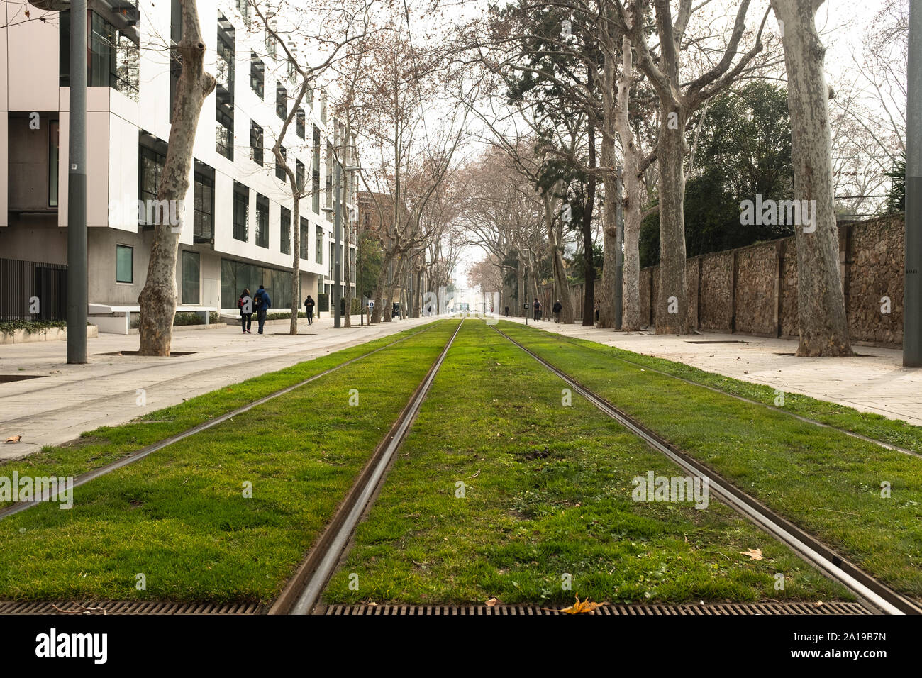 Rückfahrt von der Straßenbahn in der Nähe des Campus de la Ciutadella (Pompeo Fabra University) in Barcelona (Spanien). Straßenbahn ist nur kaum sichtbar, in der di Stockfoto
