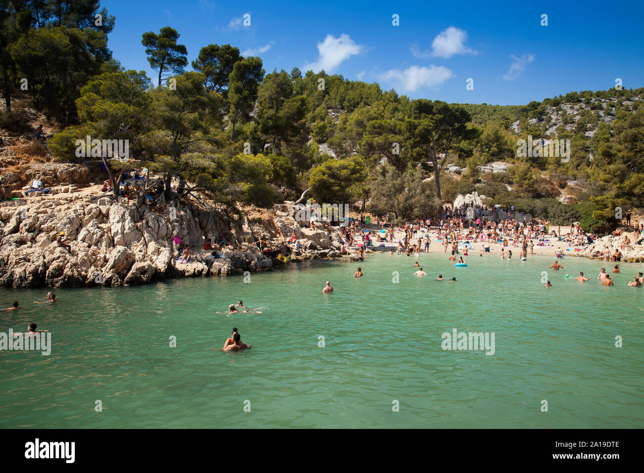 Strandliebhaber in Calanque de Port-Pin, Calanques Nationalpark, Cassis, Bouches-du-Rhône, Provence - Alpes - Côte d'Azur, Frankreich, Europa Stockfoto