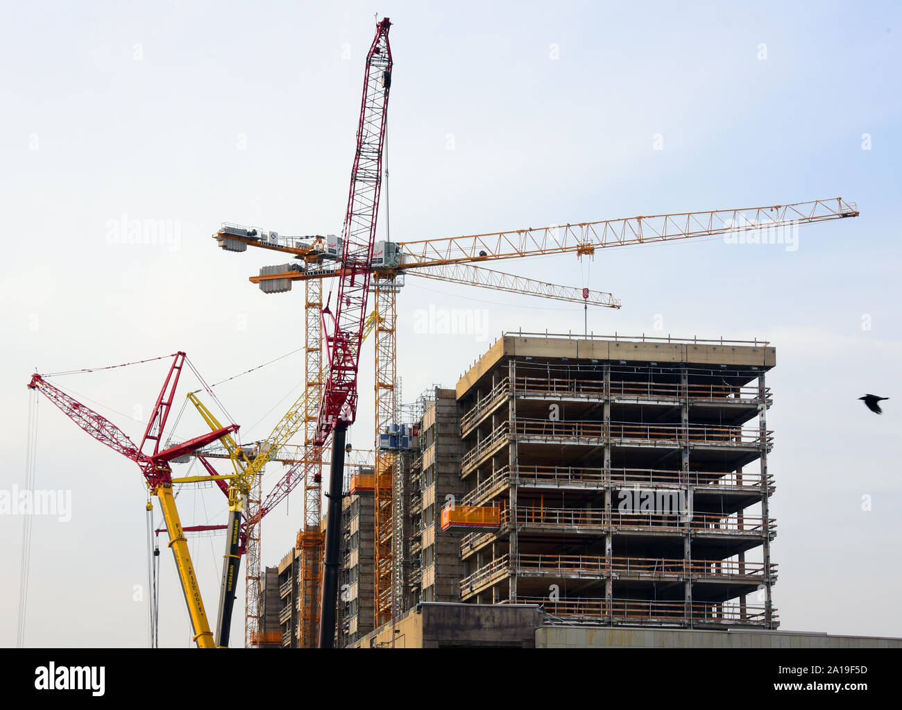 Consus immobilien Fotos und Bildmaterial in hoher Auflösung Alamy