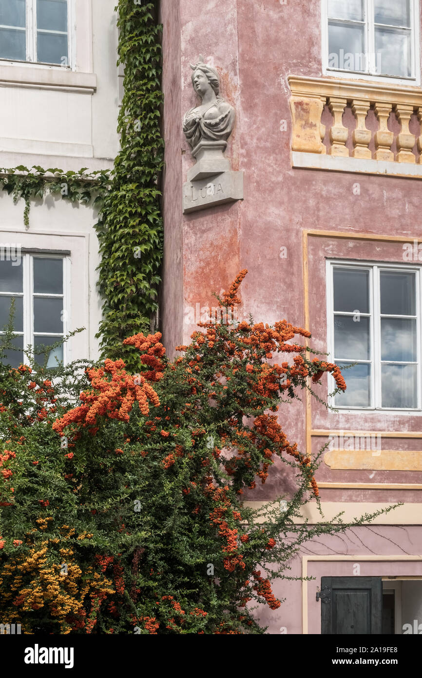 Holzbär Orange glühen mit Herbst Beeren wachsen oben in einem Wohnhaus an der Wand, September, Prag, Tschechische Republik. Stockfoto