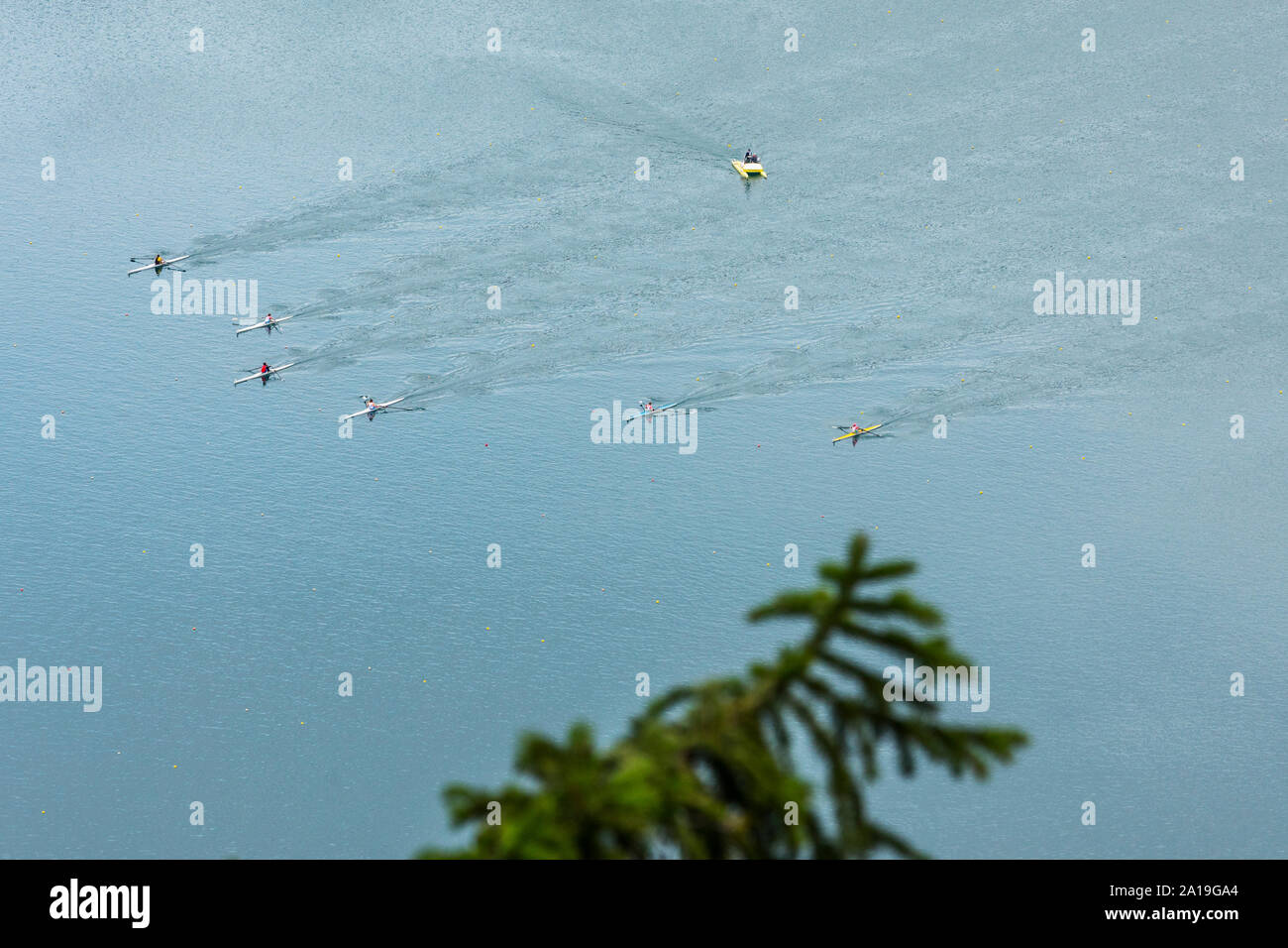 Rudern Konkurrenz aus den oben, der See Bled in Slowenien Stockfoto