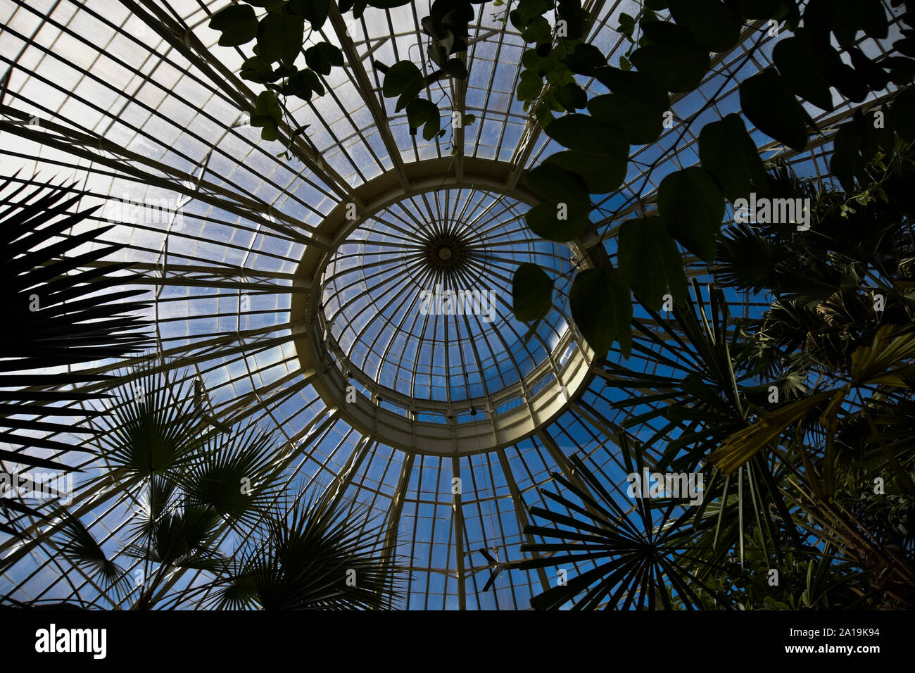 Dome von Buffalo Botanical Gardens Stockfoto