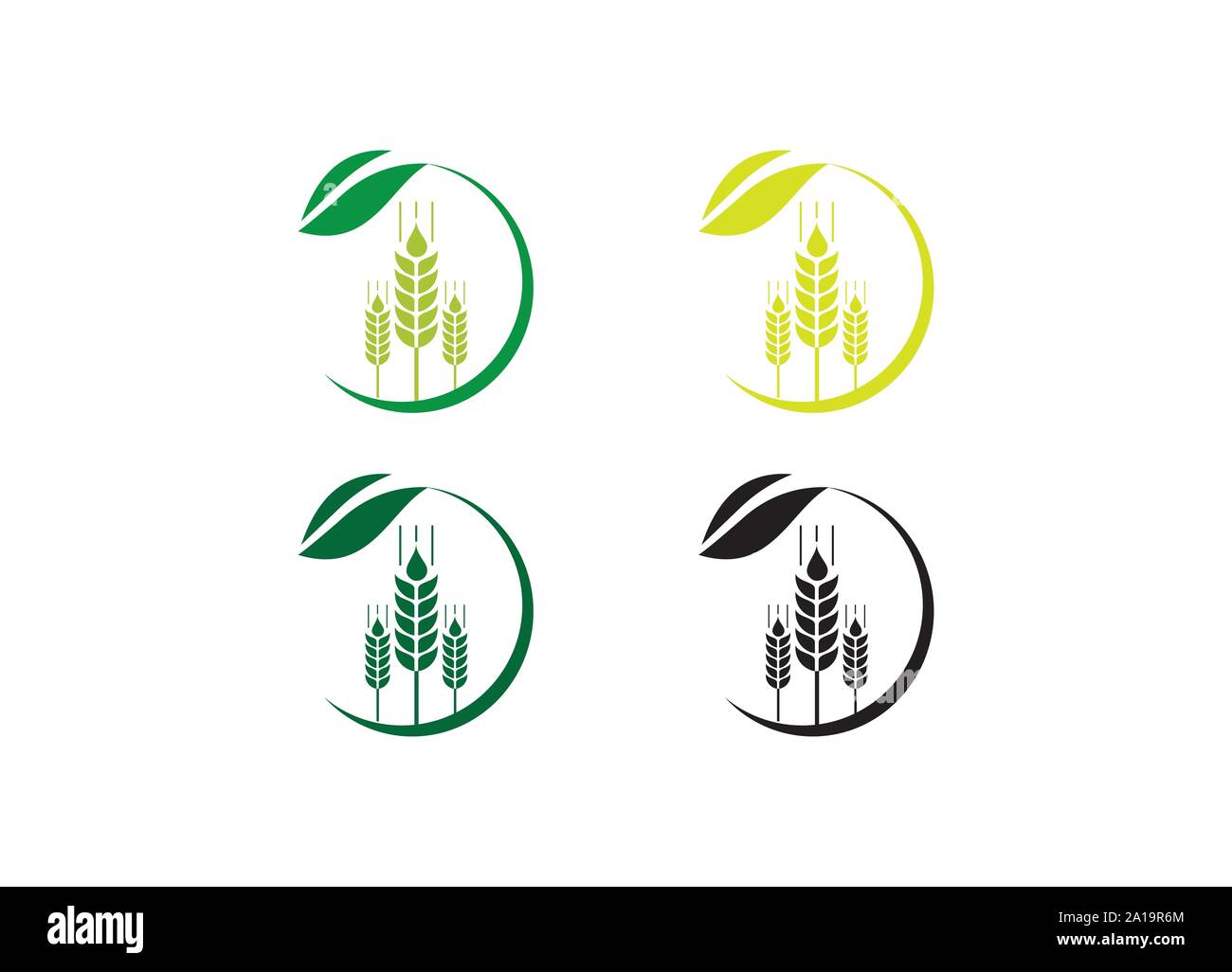 Vier stilisierte Weizenohrlogos mit Blättern in grünen gelben und schwarzen Farben Stock Vektor