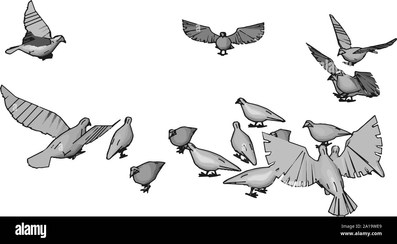 Vögel im Himmel, Illustration, Vektor auf weißem Hintergrund. Stock Vektor