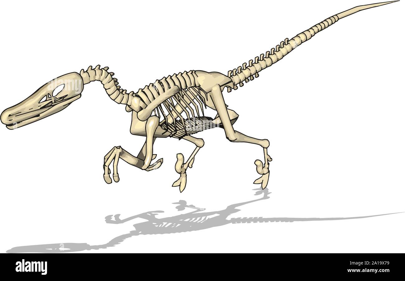 Dino skelet, Illustration, Vektor auf weißem Hintergrund. Stock Vektor