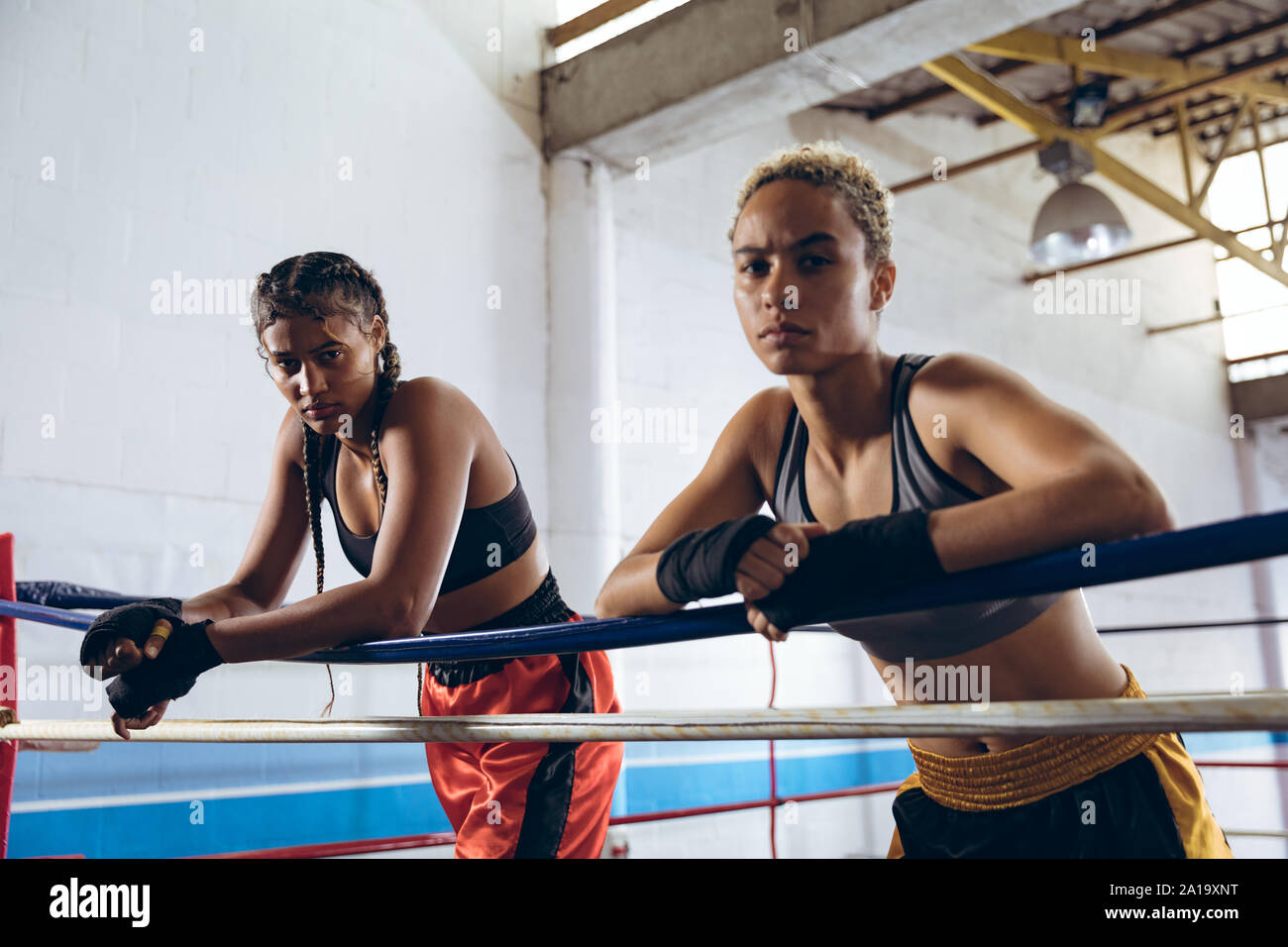 Weibliche Boxer lehnte sich auf Seilen und Kamera im Boxring an Boxing Club Stockfoto