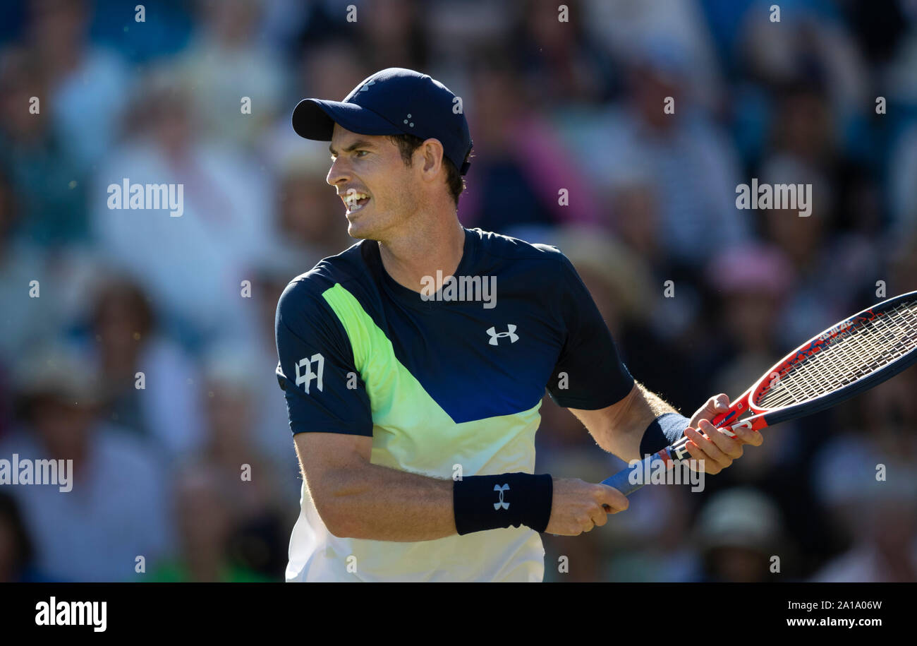 Andy Murray von Großbritannien in Aktion gegen Kyle Edmund von Großbritannien. Natur Tal International 2018 - Mittwoch, 27 Juni, 2018 - Devonshire Stockfoto