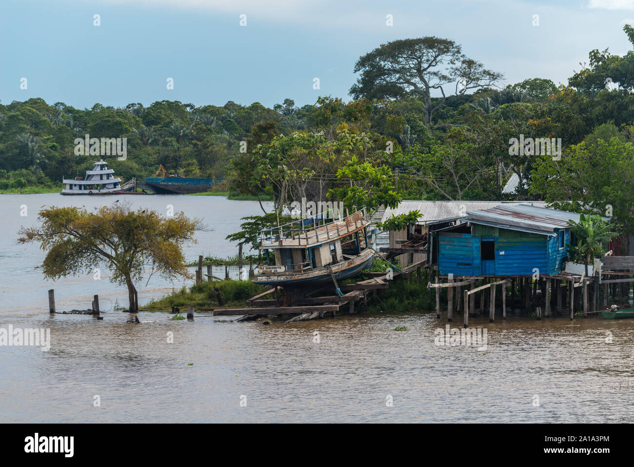 Obersations auf eine zweitägige Bootsfahrt von Manaus Tefé, Rio Solimoes, Amazonas, Amazonas, Brasilien, Lateinamerika Stockfoto