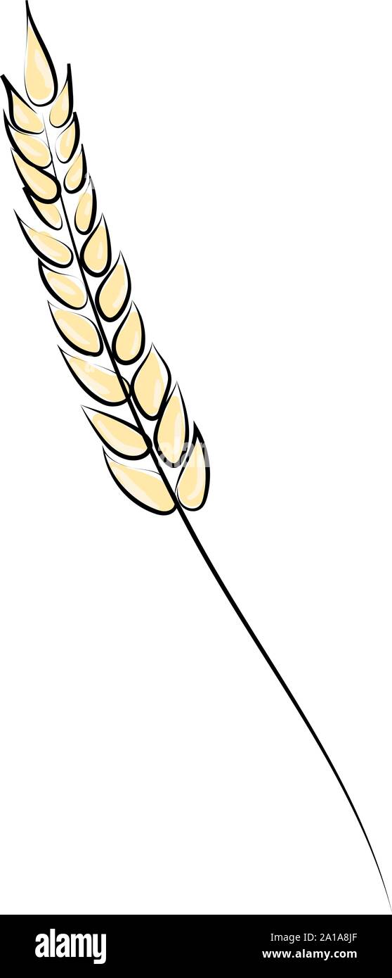 Brot Spike, Illustration, Vektor auf weißem Hintergrund. Stock Vektor