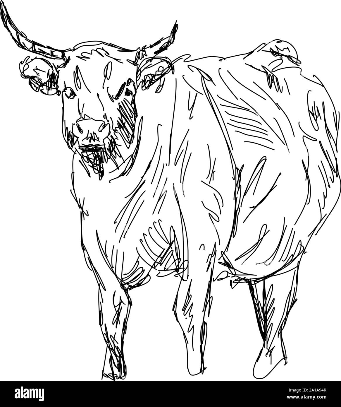 Buffalo Zeichnung, Illustration, Vektor auf weißem Hintergrund. Stock Vektor